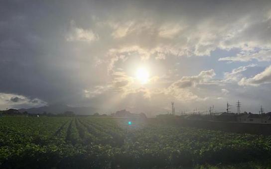 畑と空と太陽 畑と空と太陽の写真