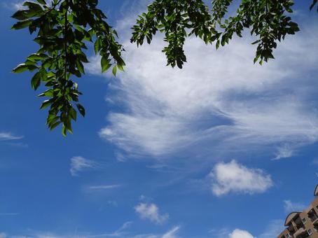 七月の雲-29の写真