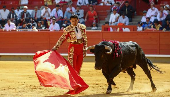 メキシコの闘牛士が赤い布で闘牛をかわす メキシコの闘牛士が赤い布で闘牛をかわすの写真
