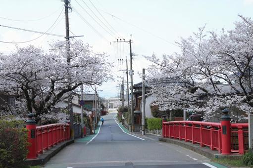 猪野公園 猪野公園の写真