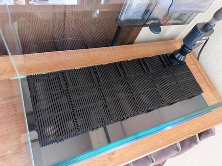 水槽セットアップ(底面フィルター設置1) 水槽セットアップ(底面フィルター設置1)の写真