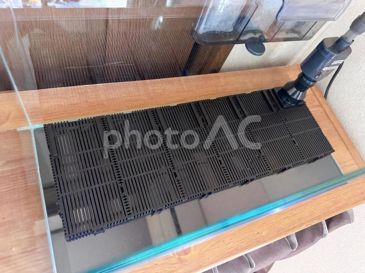 水槽セットアップ(底面フィルター設置1) 水槽,フィルター,アクアリウムの写真素材