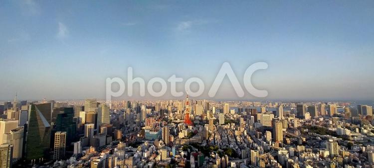 東京タワー遠望（超広角・中央） 東京タワー,遠望,摩天楼の写真素材