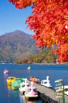 秋の河口湖 紅葉とカラフルなボート 秋の河口湖 紅葉とカラフルなボートの写真