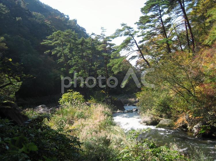 秋の昇仙峡 昇仙峡,秋,甲府の写真素材