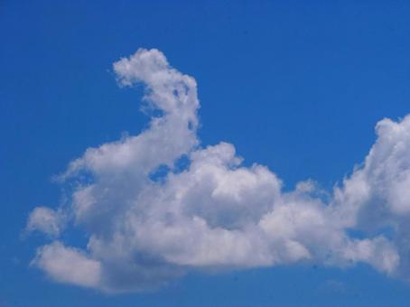 ラクダのような雲 ラクダのような雲 雲,ラクダ,青空の写真素材