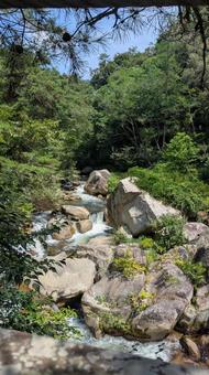 いわいわ いわいわ 岩,渓谷,川の写真素材