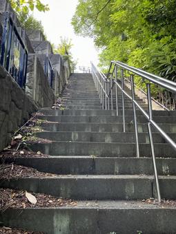 急な石段の写真