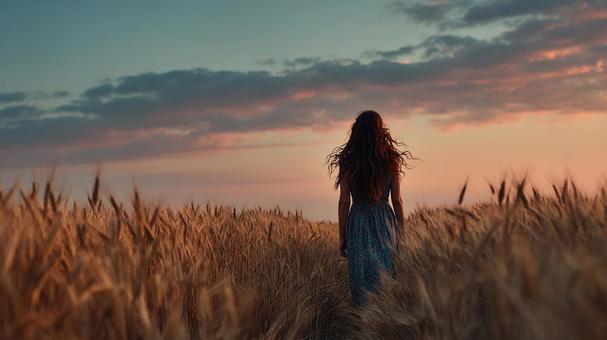 夕焼けの麦畑を歩く女性 夕焼けの麦畑を歩く女性の写真