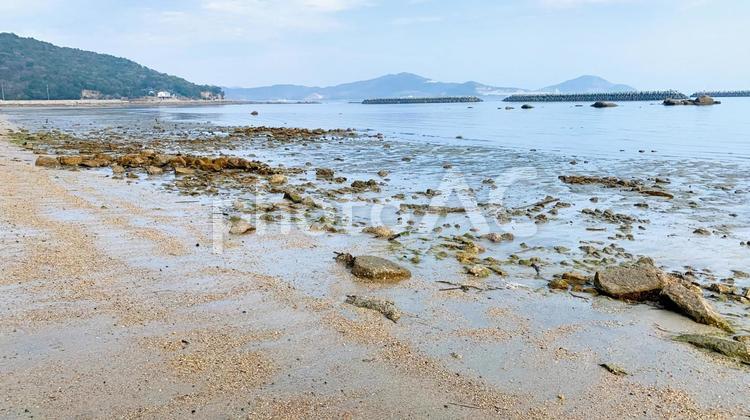 美濃ケ浜海浜公園の海辺風景 美濃ケ浜,海浜公園,海の写真素材