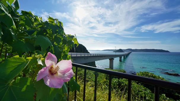 角島ドライブ 角島ドライブ 角島大橋,角島,海の写真素材