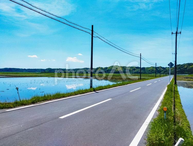 空が映る田んぼ道 水田,田んぼ,田植えの写真素材