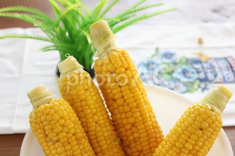 とうもろこし とうもろこし,とうみぎ,コーンの写真素材