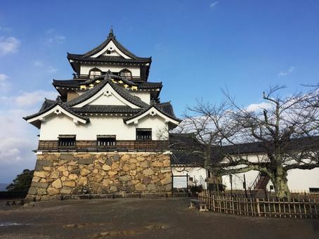 Photo, national treasure, hikone castle, special historical site, 