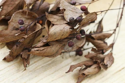 枯葉と実3の写真