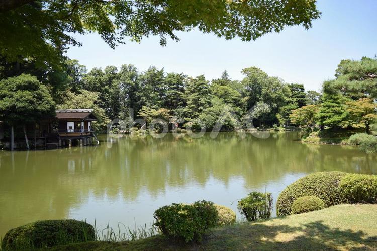 【石川】兼六園の風景 兼六園,庭園,緑の写真素材