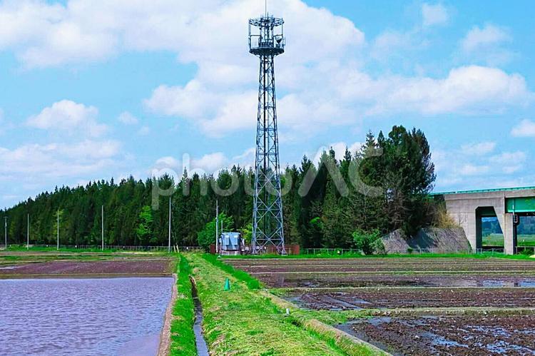 2025年5月の里山3 田んぼ,水田,あぜ道の写真素材
