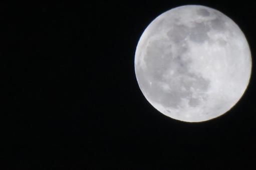 December Full Moon "Cold Moon" Night Moon Series 6, JPG December Full Moon "Cold Moon" Night Moon Series 6, month, night sky, rabbit, JPG