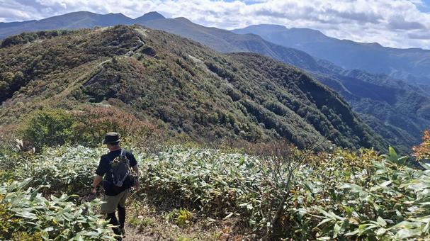 紅葉の登山道を歩く登山者 登山,縦走,登山者の写真素材