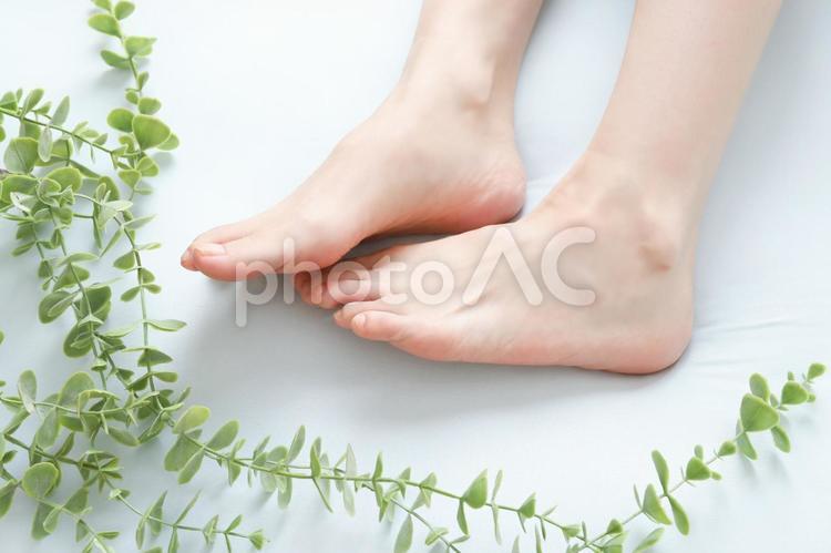 女性の足　フットケア 女性の足,フットケア,むくみの写真素材