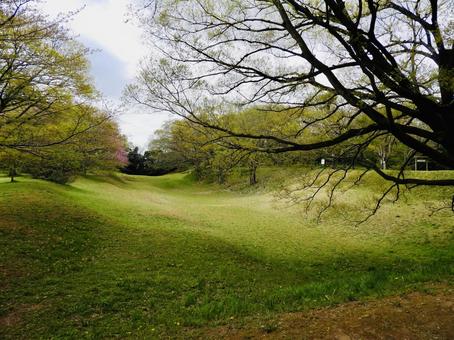下総佐倉城の空堀 下総佐倉城の空堀 佐倉城,佐倉市,城郭の写真素材