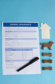 ペットに関する書類　真っすぐ 保険,契約,申請の写真素材