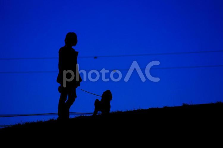 犬の散歩のシルエット画像（壁紙素材） 犬の散歩,犬,女性の写真素材