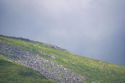 夏模様① 夏模様① 山,空,木の写真素材
