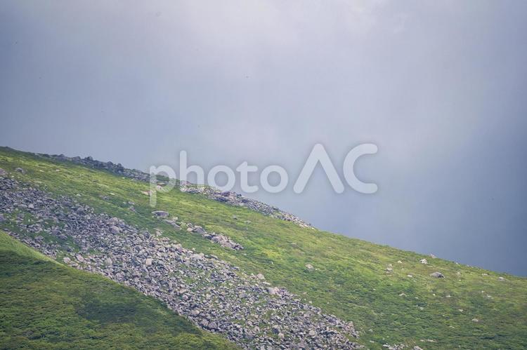夏模様① 山,空,木の写真素材