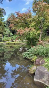 甘泉園公園 日本庭園,和風庭園,庭園の写真素材