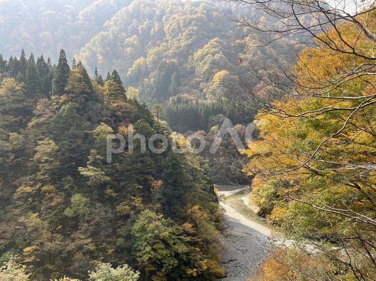 黒部峡谷トロッコからの景色 黒部峡谷,トロッコ,宇奈月の写真素材