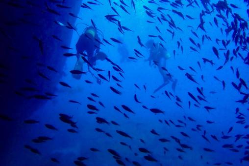 西伊豆・雲見 洞窟とダイバーと魚影 西伊豆・雲見 洞窟とダイバーと魚影の写真