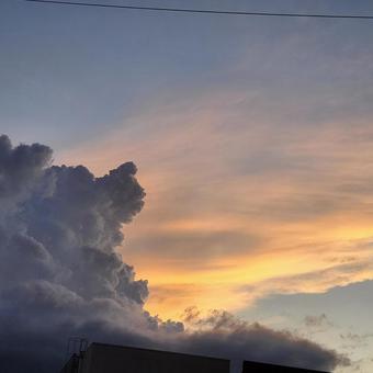 夕陽 夕陽の写真