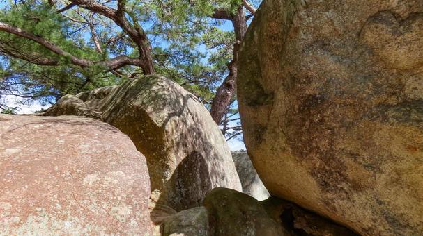 尾道　文学のこみちの岩と木々 尾道市,文学のこみち,広島県の写真素材