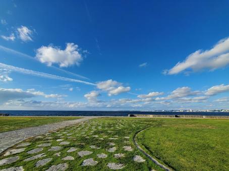 澄んだ青と緑 景色,風景,夏の写真素材