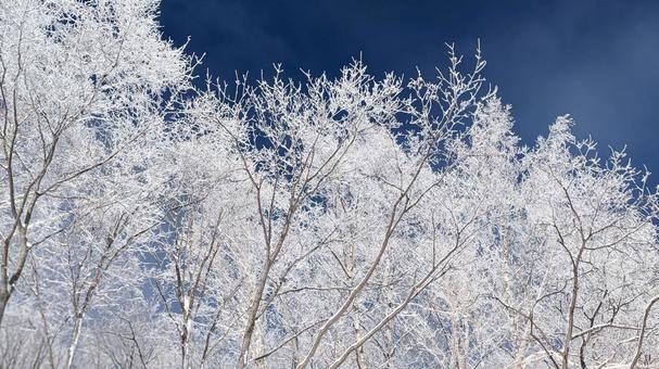 北海道　自然の樹氷  樹氷,雪山,冬景色の写真素材