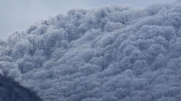 雪山 冬,雪山,雪の写真素材