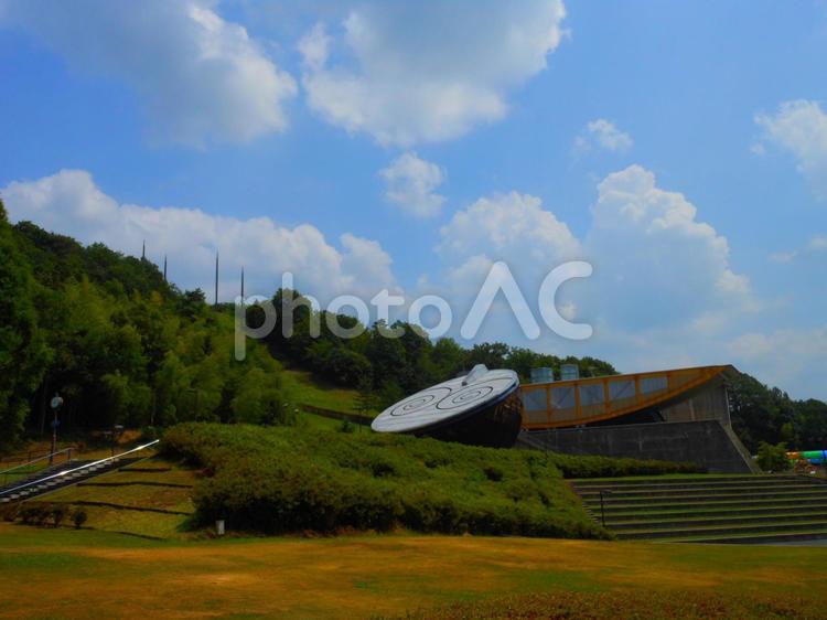 公園からみる青空風景 青空,空,緑の写真素材