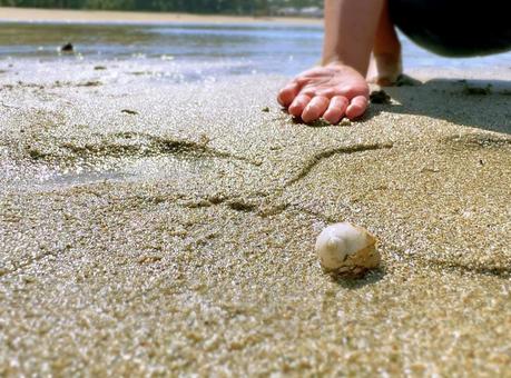 子供の海遊び 子供の海遊びの写真