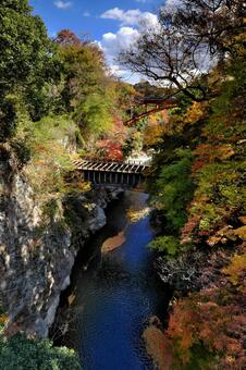 紅葉の八ツ沢発電所施設　第一号水路橋② 第一号水路橋,八ツ沢発電所施設,水路橋の写真素材
