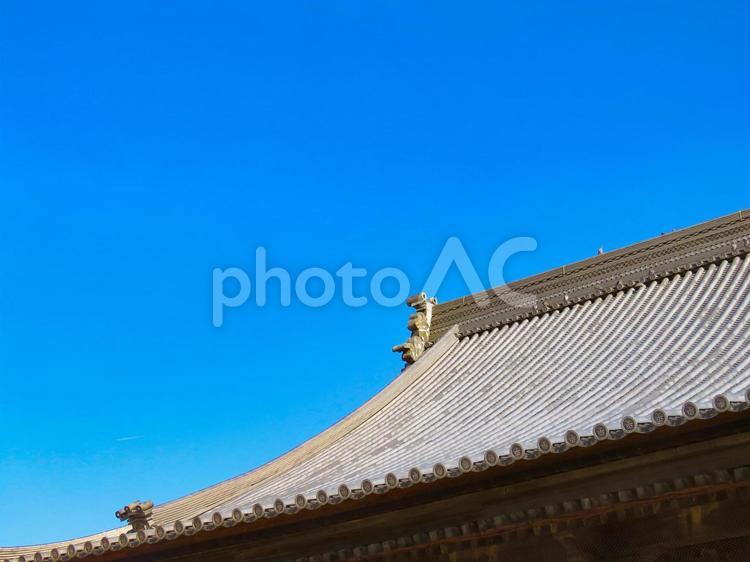 青空と寺の屋根瓦 西大寺,本堂,屋根の写真素材