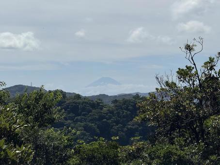 富士山 富士山の写真