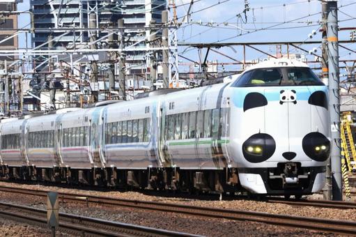 Photo, jr, limited express panda kuroshio, chubby face, 