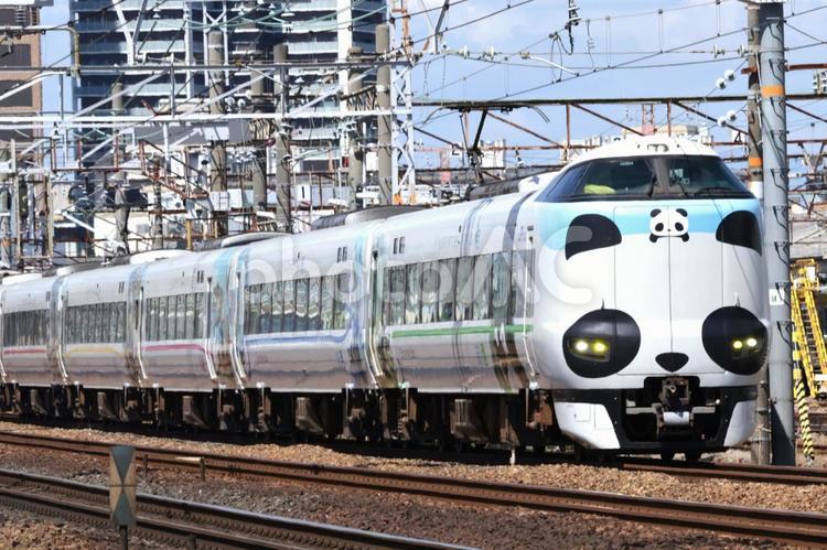 JR特急ぱんだくろしお　ラッピング jr,特急ぱんだくろしお,ぱんだくろしおの写真素材