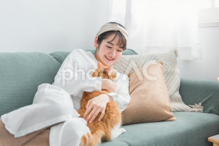 ソファでペットの猫と遊ぶ日本人女性 猫,ペット,遊ぶの写真素材