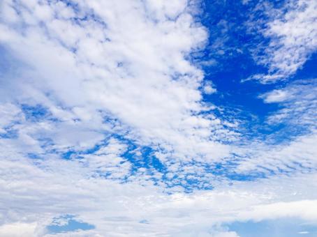 夏空 夏空の写真