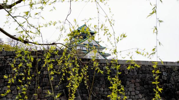大阪城13 大阪城13の写真