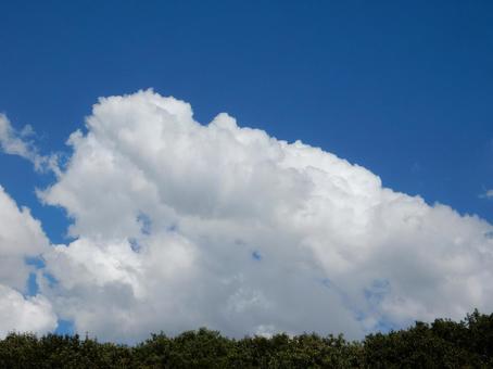 【風景写真】夏空 【風景写真】夏空の写真