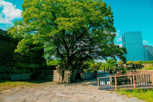 【大阪】大阪城公園の雰囲気 大阪城,お城,城の写真素材