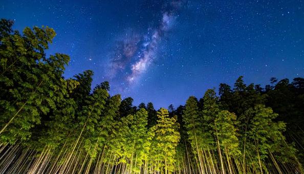 七夕 笹 天の川 七夕 笹 天の川の写真